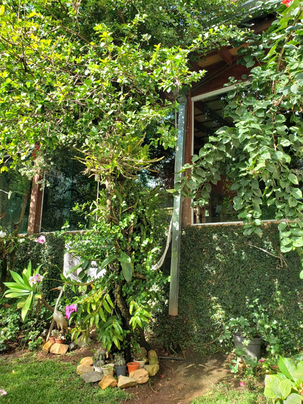 Espaço