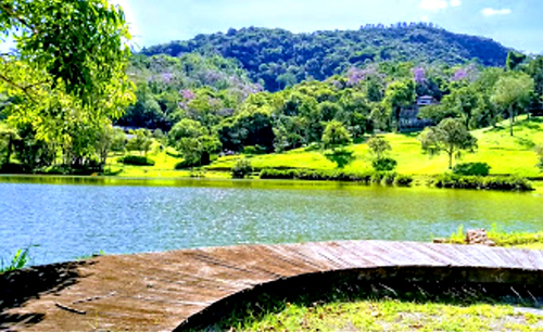 Viagem de autoconhecimento com muito verde e paz